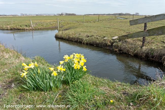 Groene Wissel Bergen NH 2