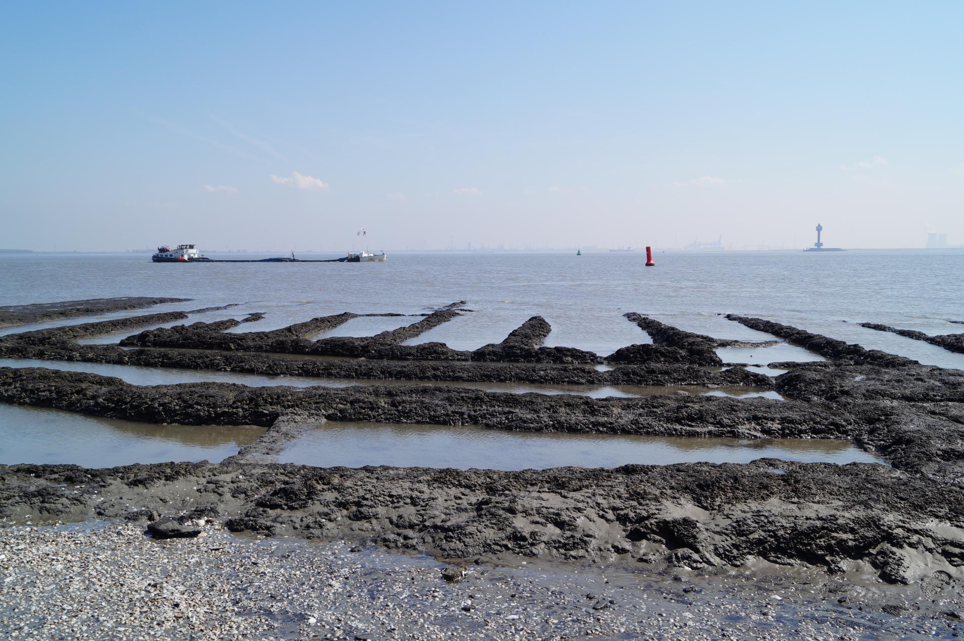 Aan de Westerschelde: Oud-Rilland en veenputten Aan de Westerschelde: Oud-Rilland en veenputten