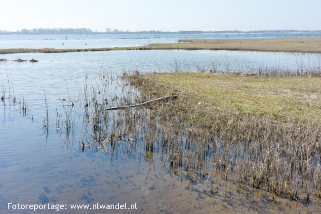 Natuurgebied Schotsman