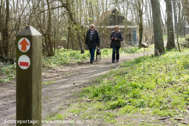 Groene Wissel Egmond aan den Hoef