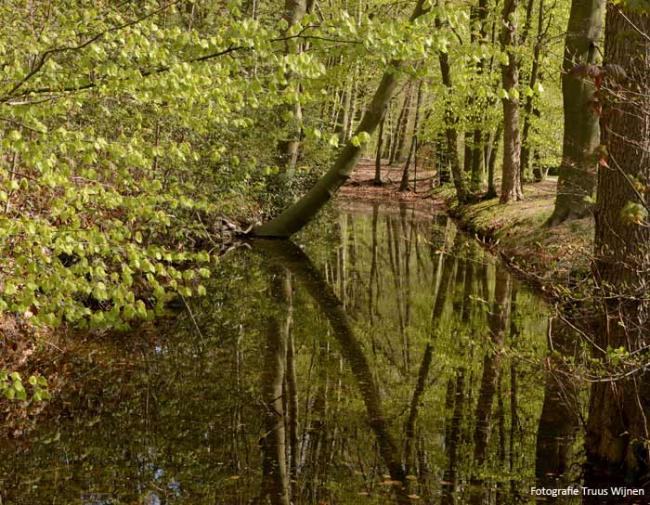 Wandeling Driebergen