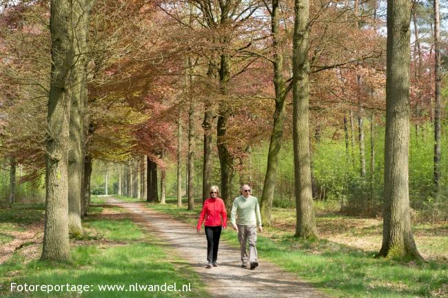 Groene Wissel Ossendrecht