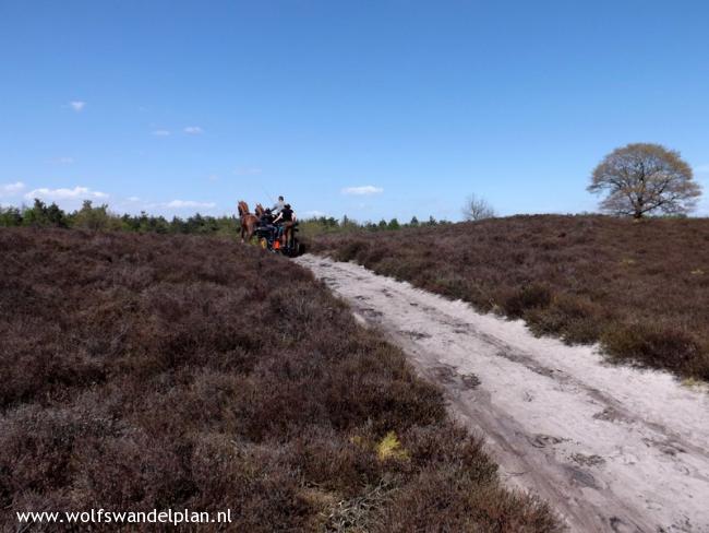 Trage Tocht Vierhouten Stakenberg