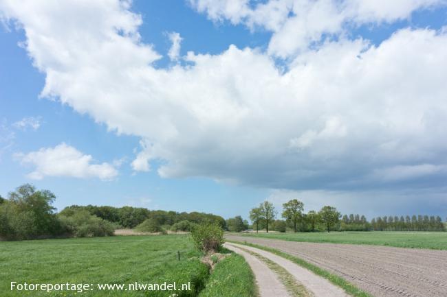 Groene Wissel Steenbergen NB 2