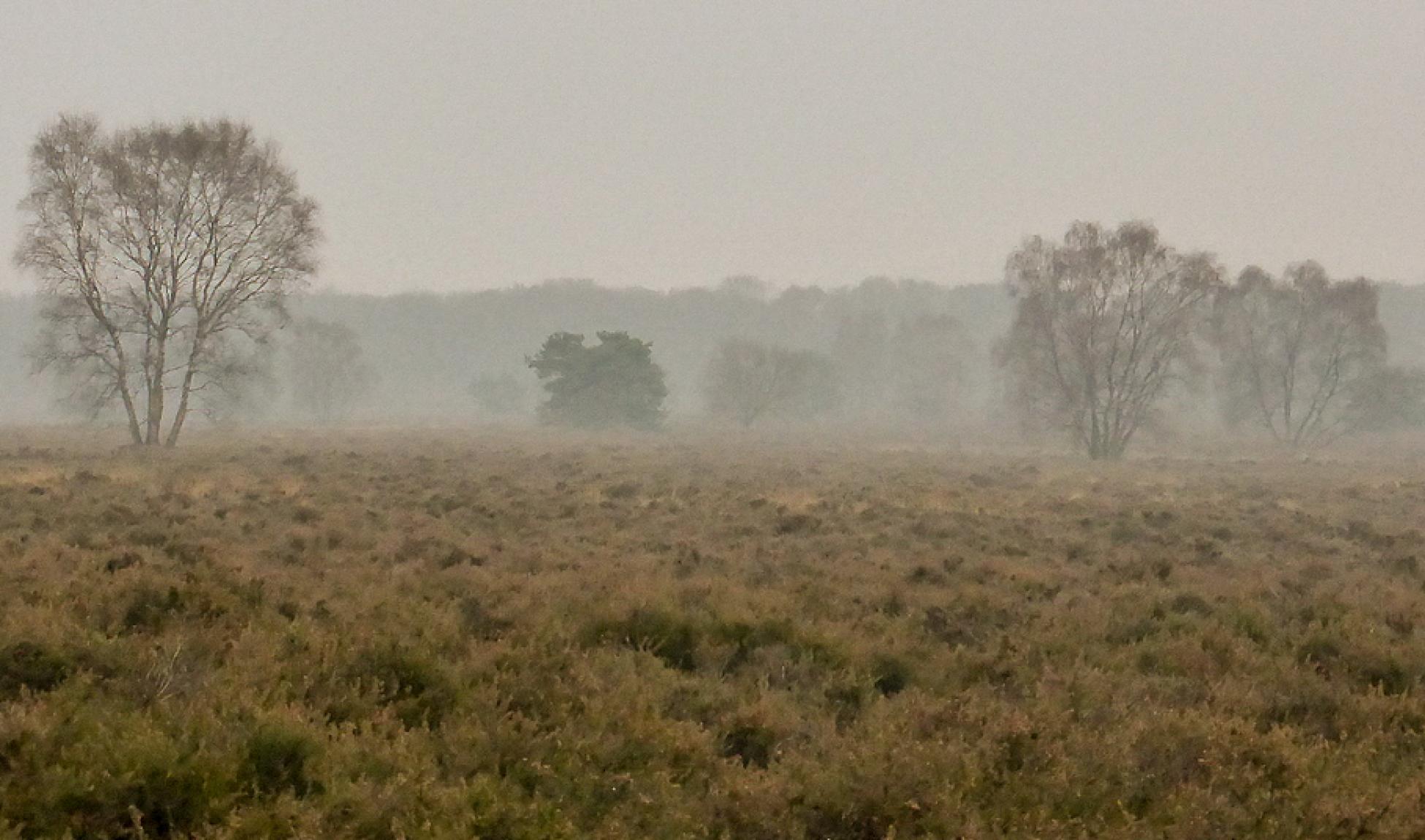 Foto wandeling