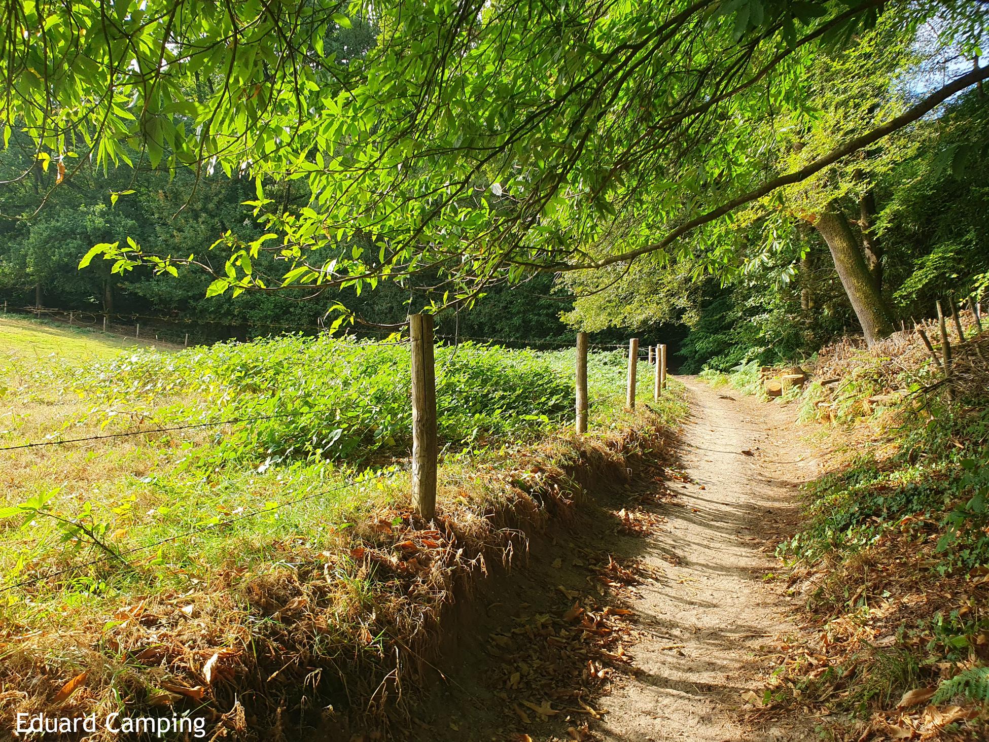 Foto wandeling