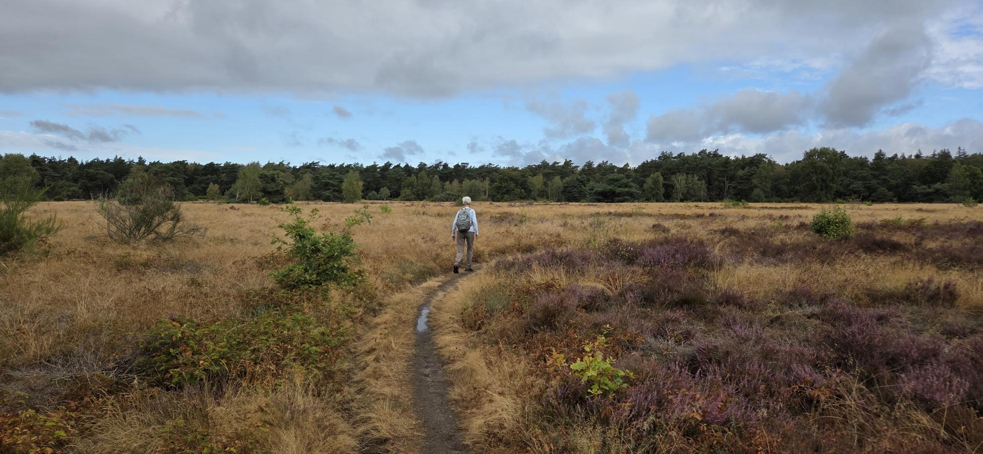 Foto wandeling
