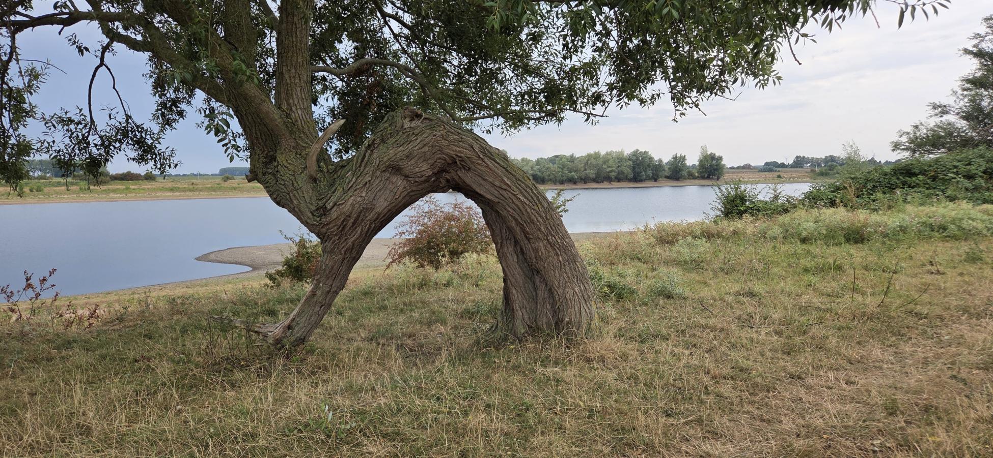 Foto wandeling