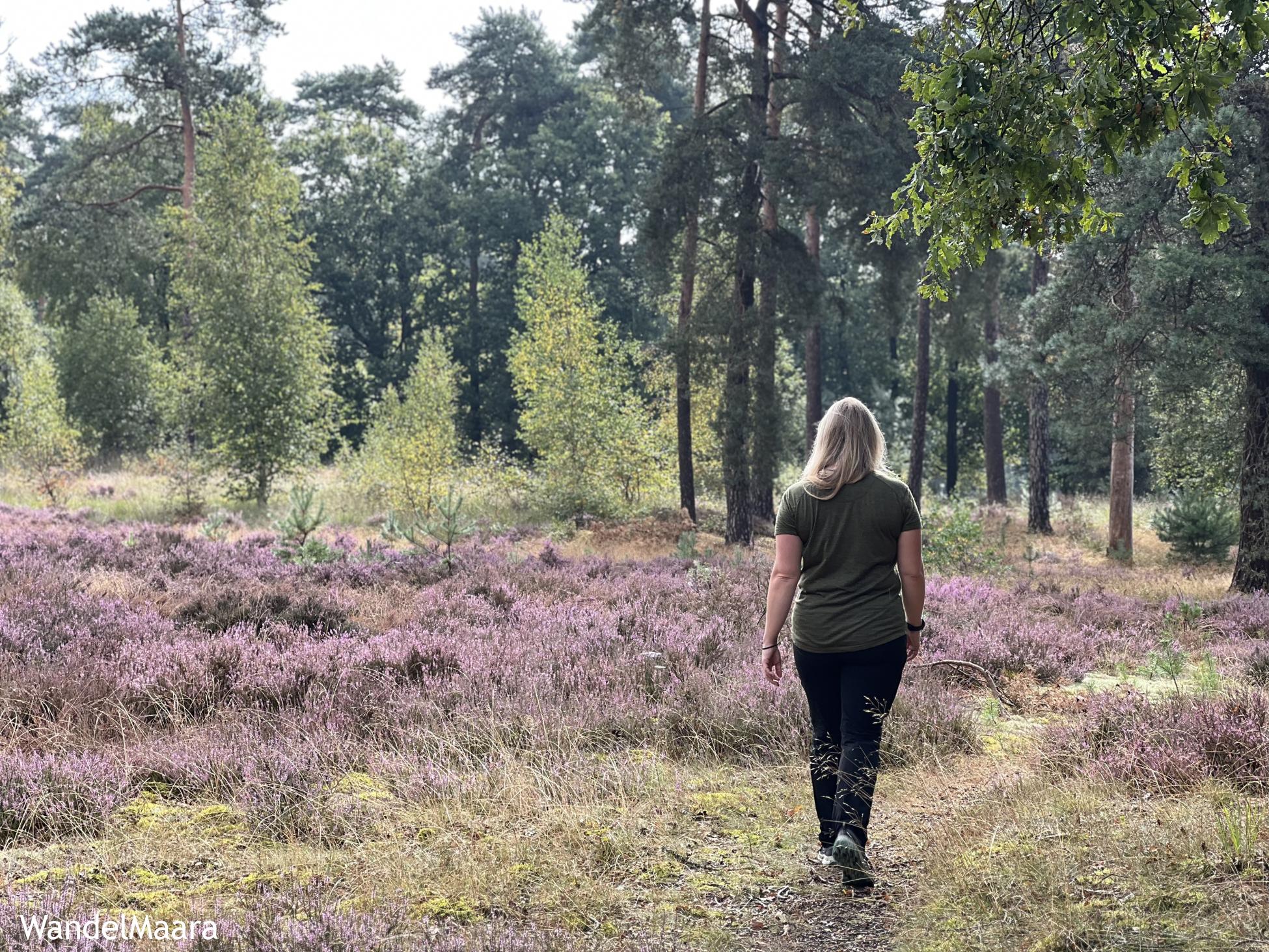 Foto wandeling