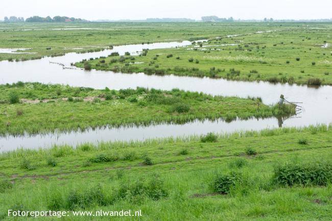 Groene Wissel Willemstad NB