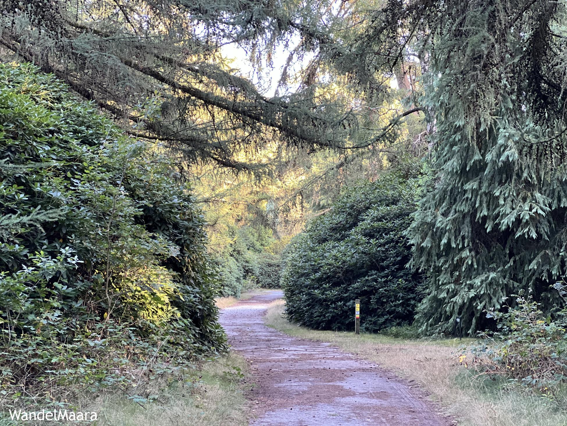 Foto wandeling