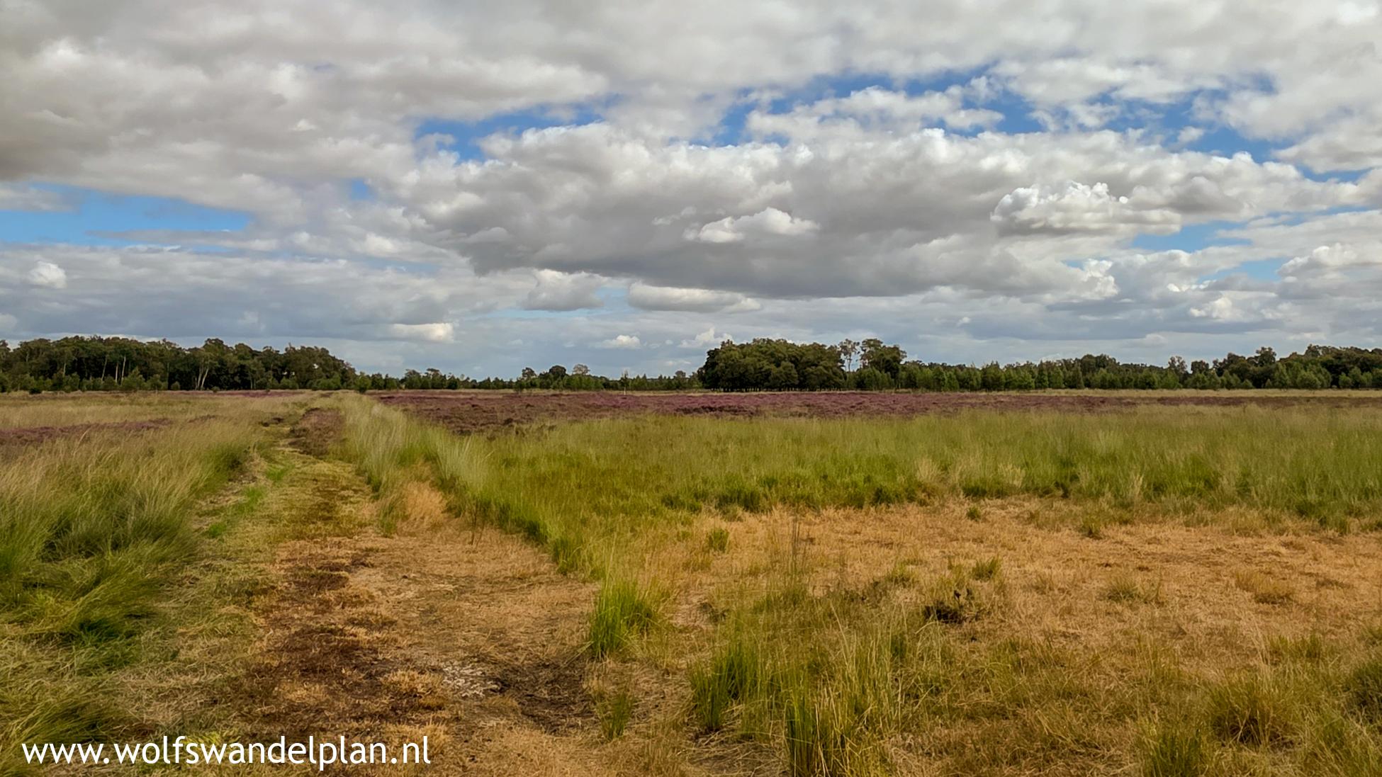Foto wandeling