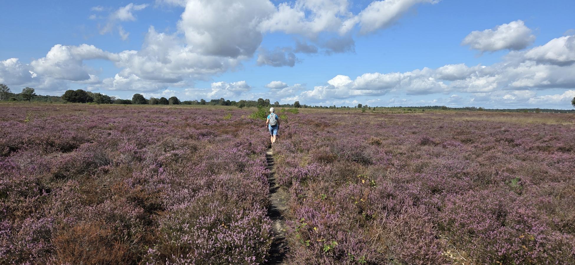 Foto wandeling