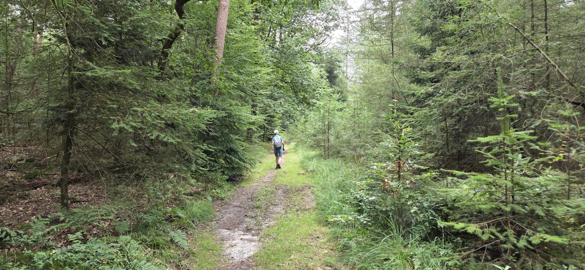 Foto wandeling