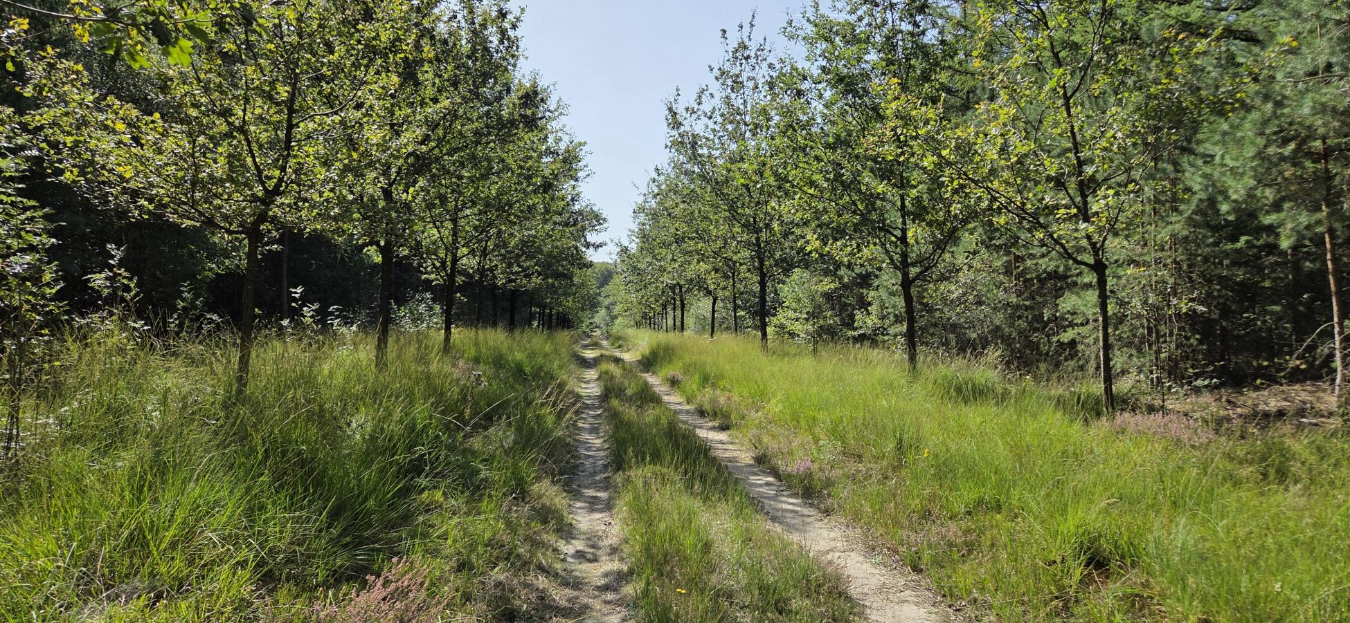 Foto wandeling