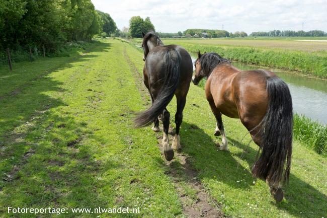 Groene Wissel Werkendam