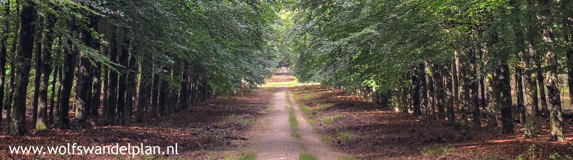 Foto wandeling