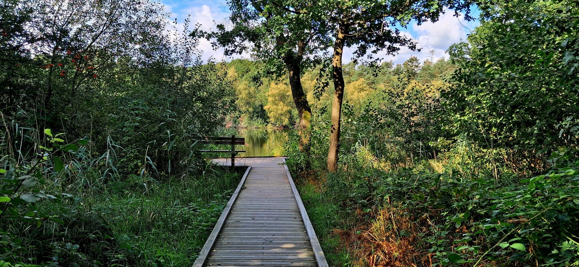 Foto wandeling