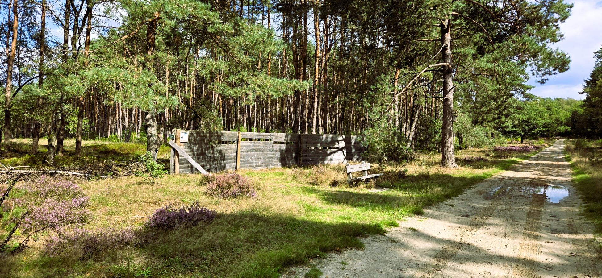 Foto wandeling