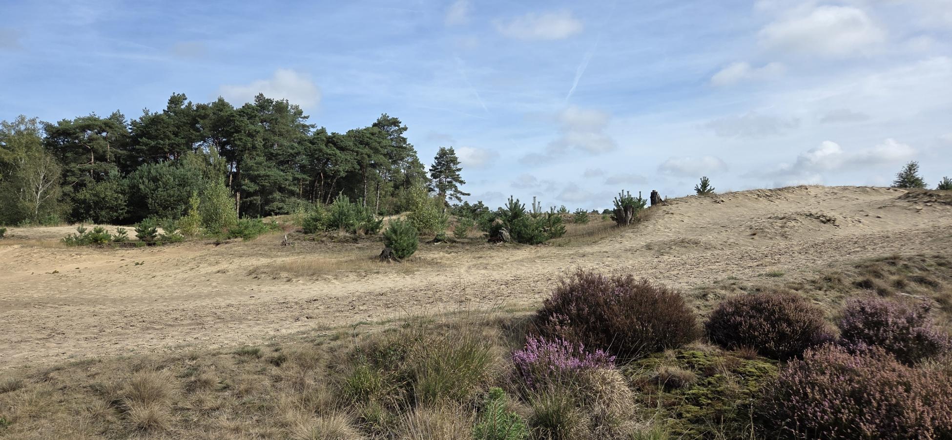 Foto wandeling