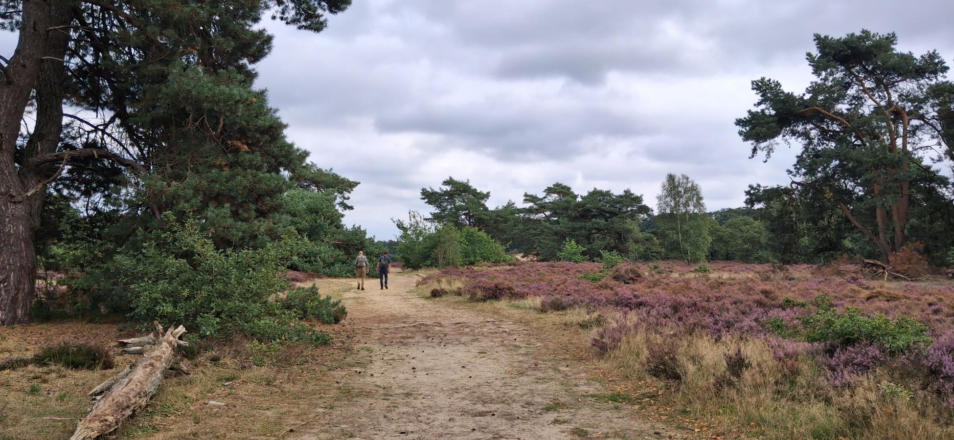 Foto wandeling