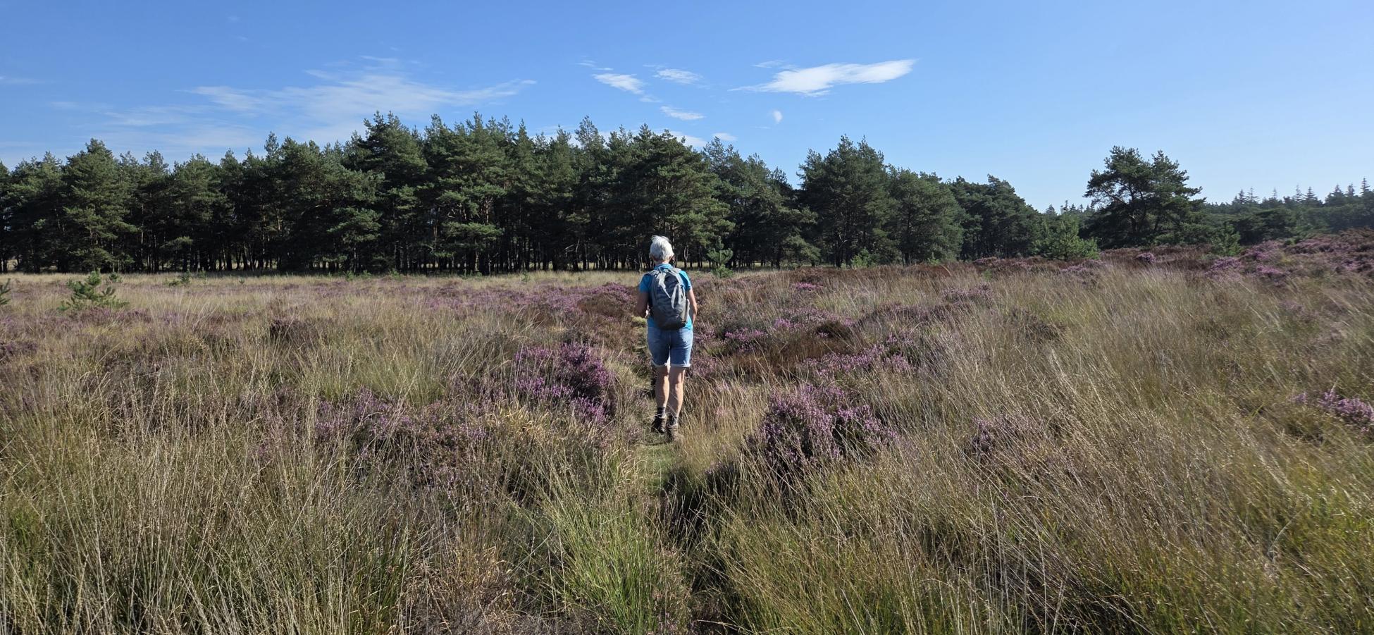 Foto wandeling