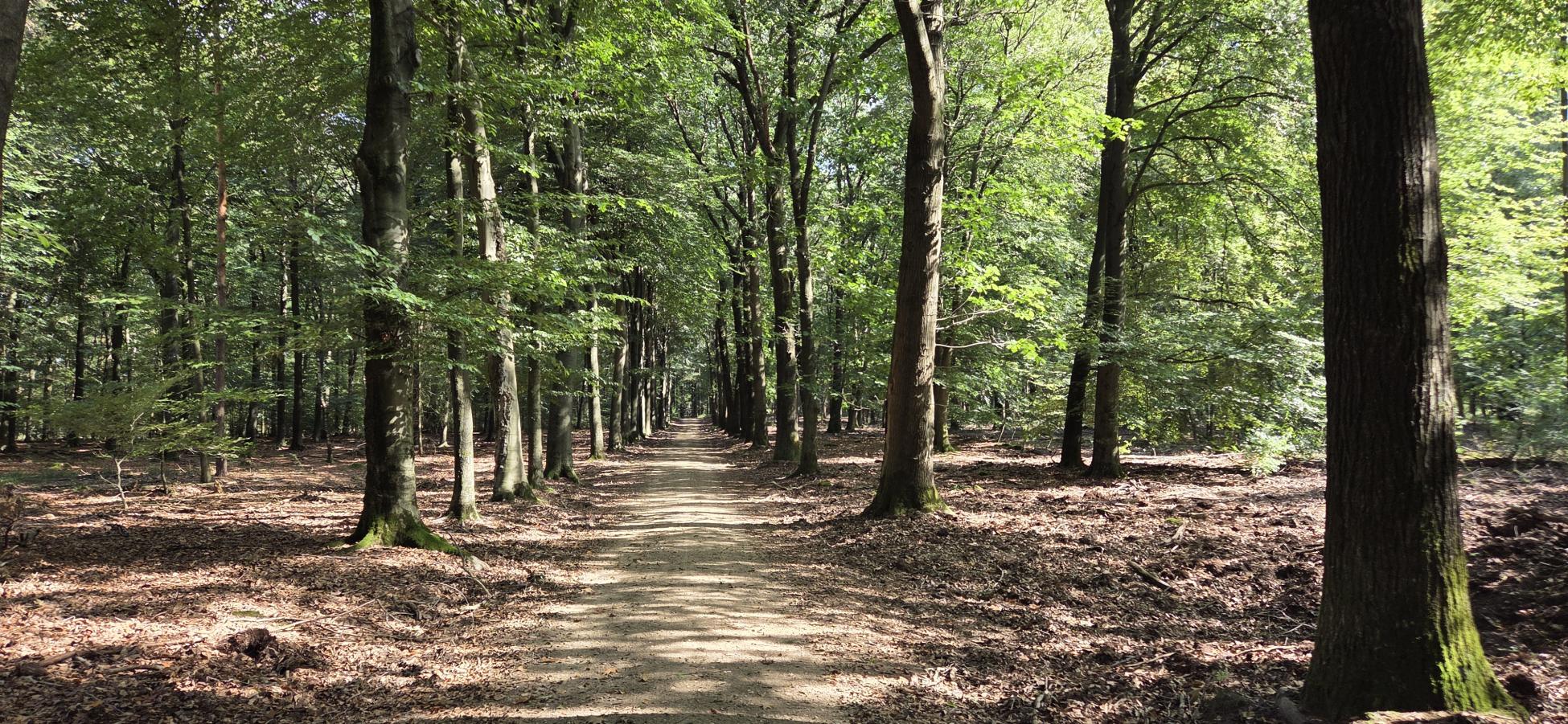 Foto wandeling