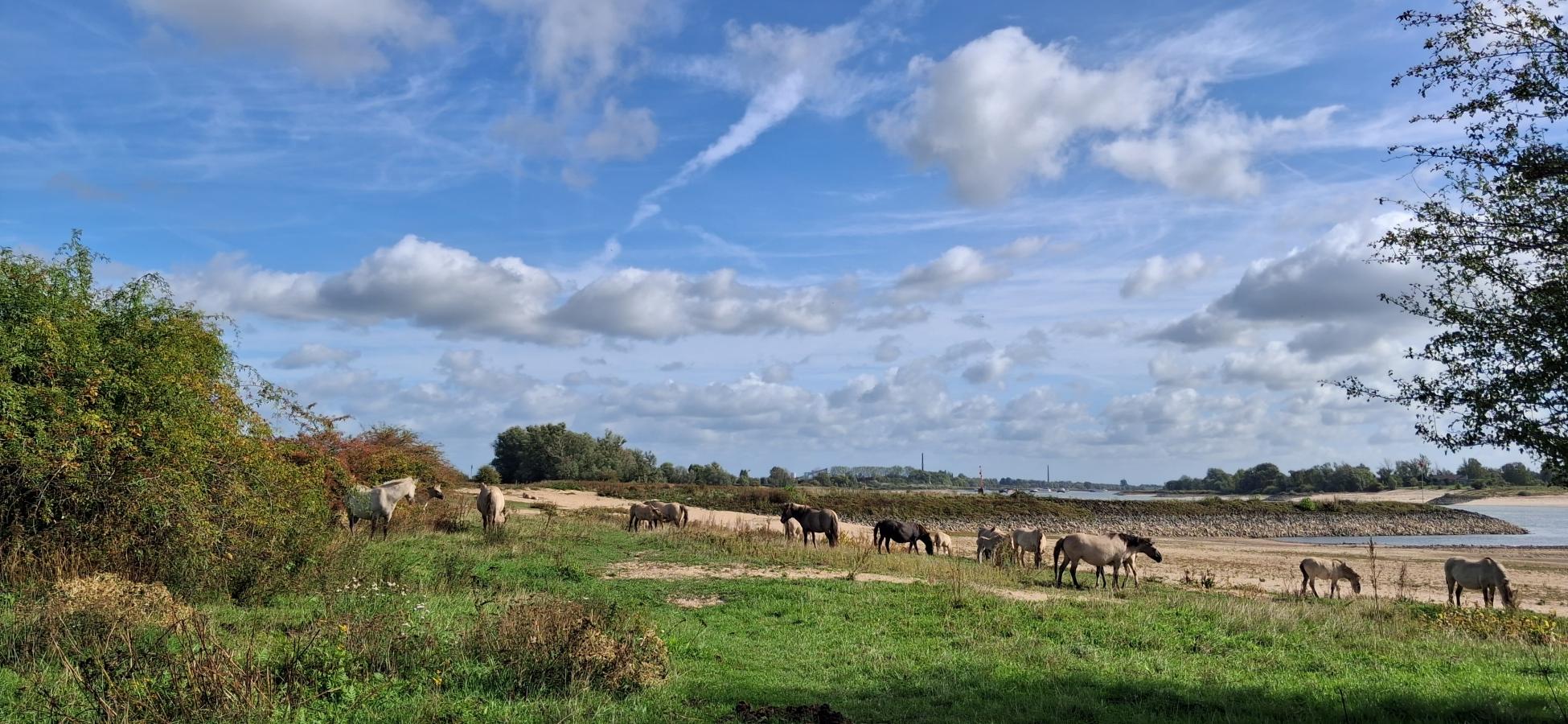 Foto wandeling
