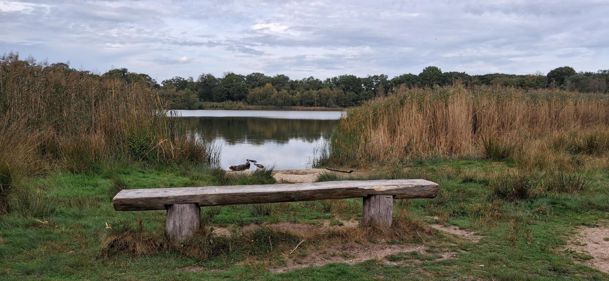 Foto wandeling