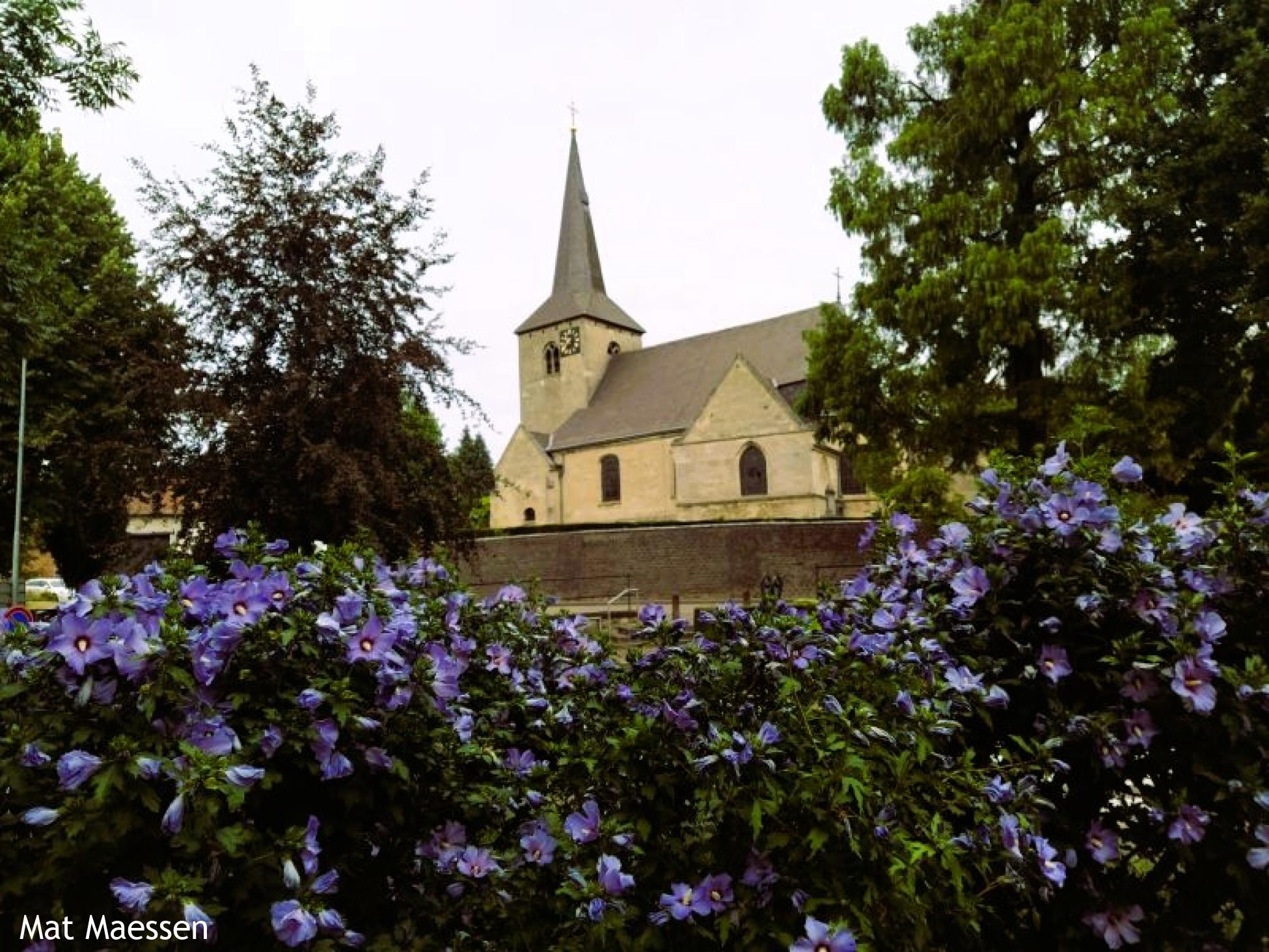 Knopenrondje Sint Geertruid