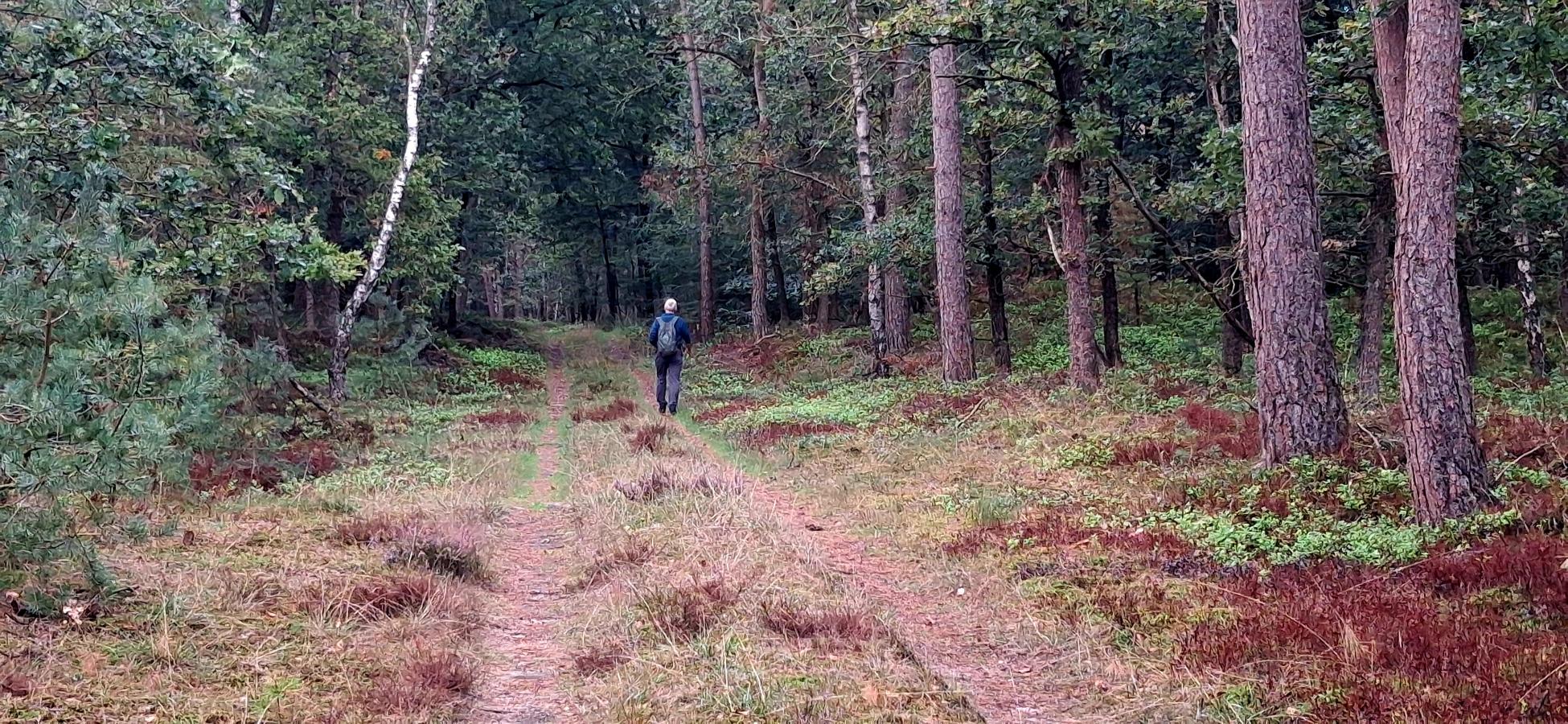 Foto wandeling