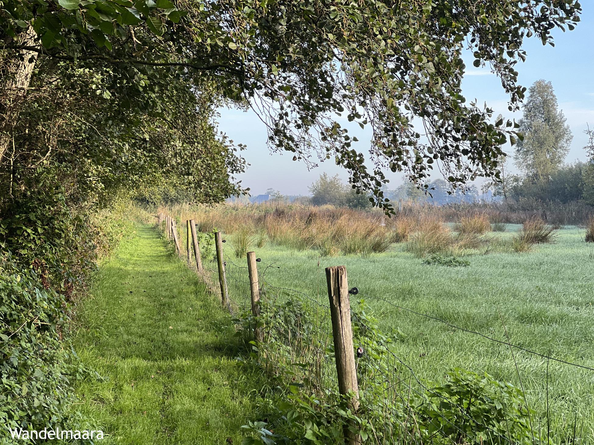 Foto wandeling