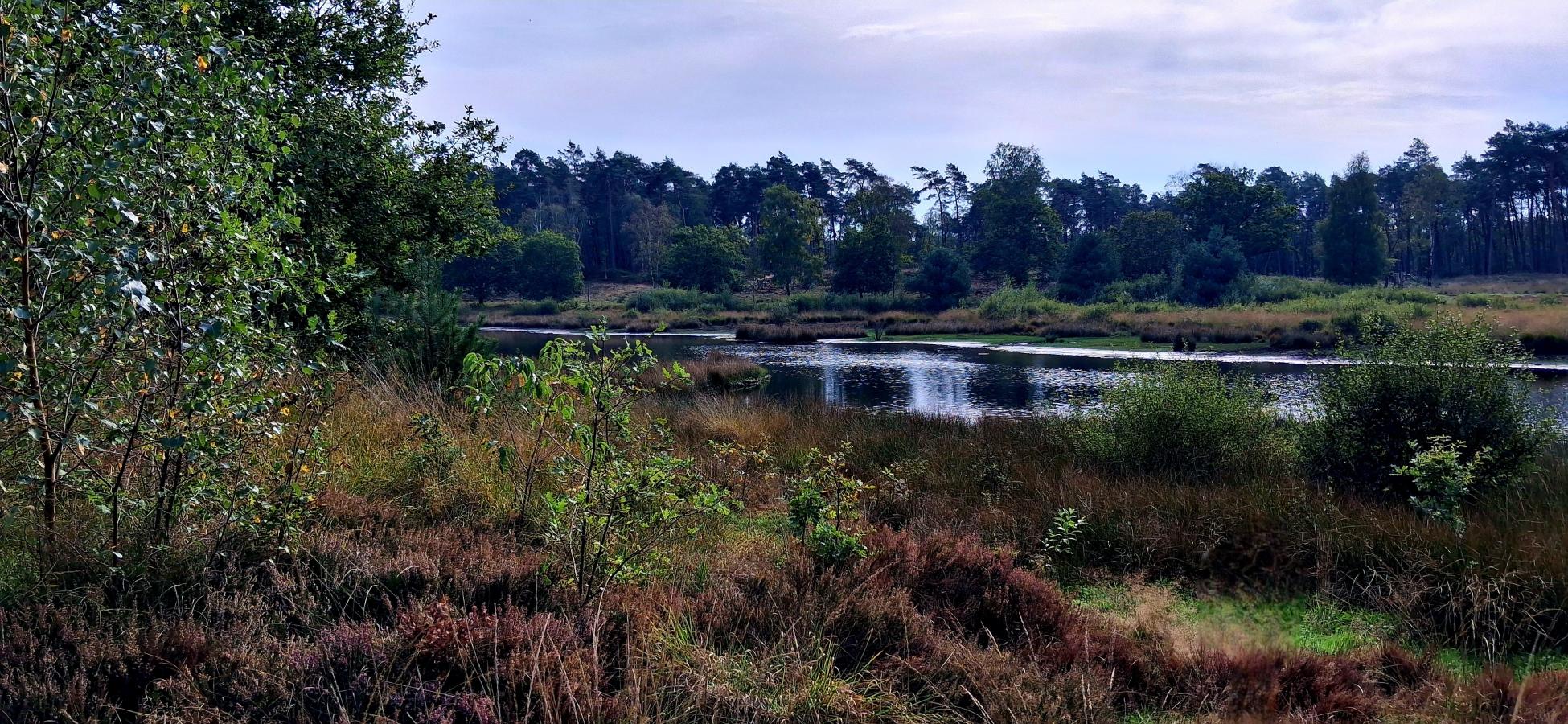 Foto wandeling