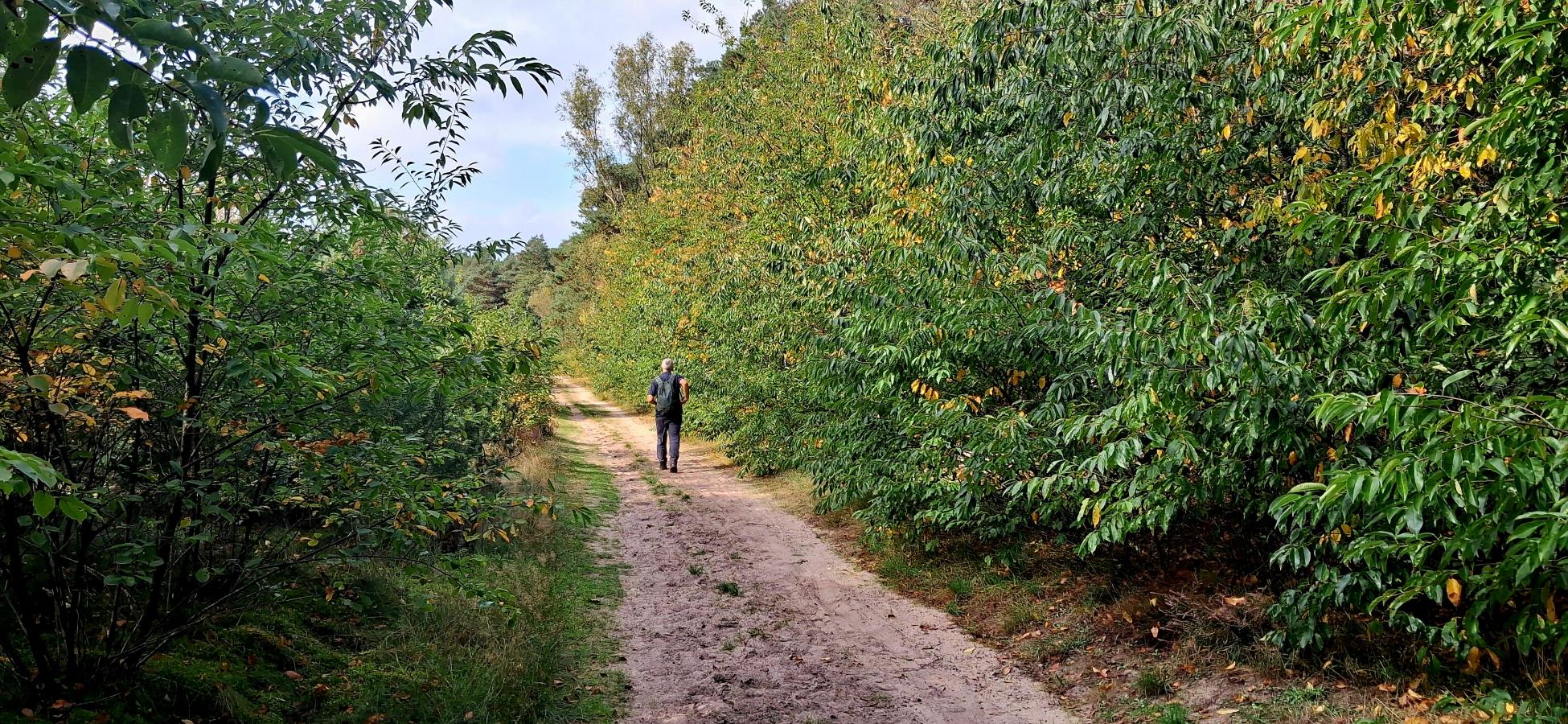 Foto wandeling