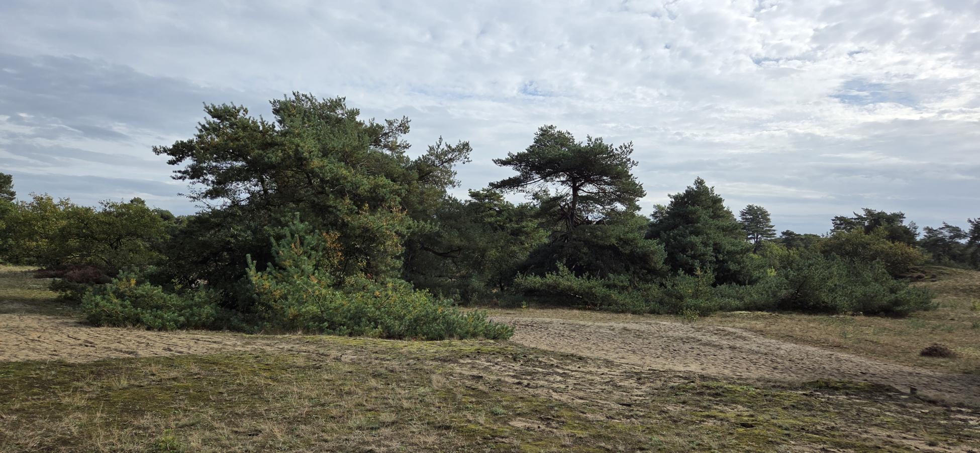 Foto wandeling