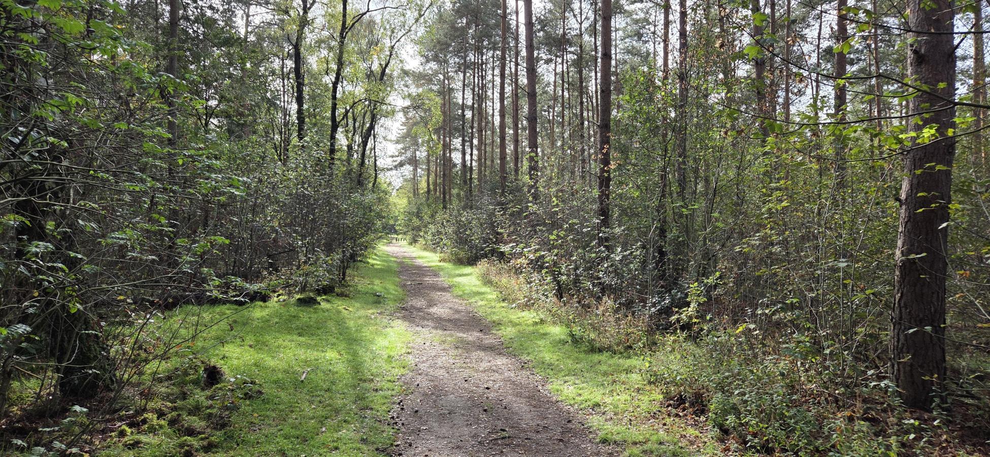 Foto wandeling
