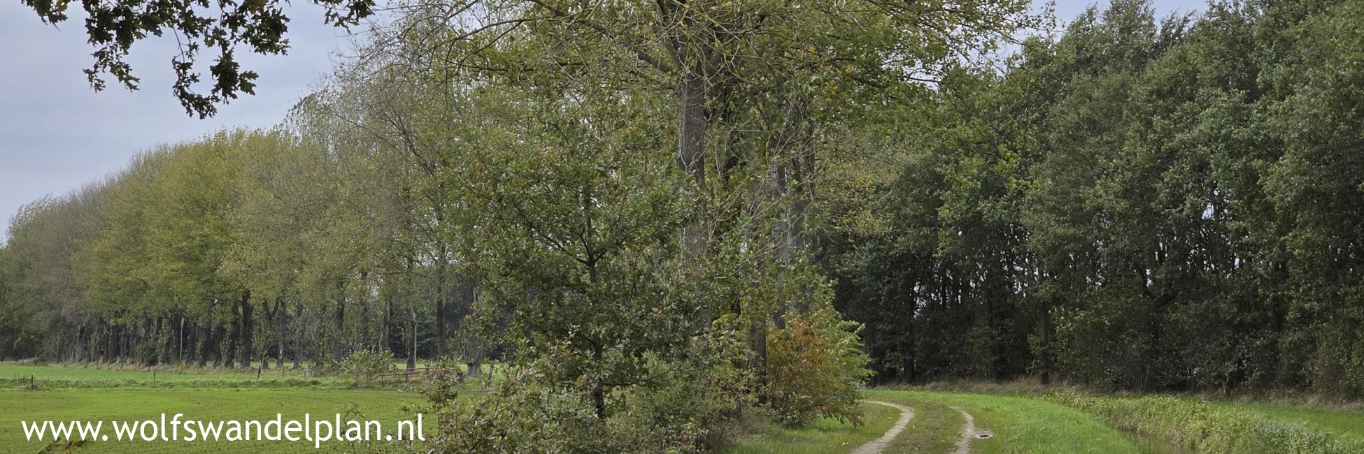 Foto wandeling