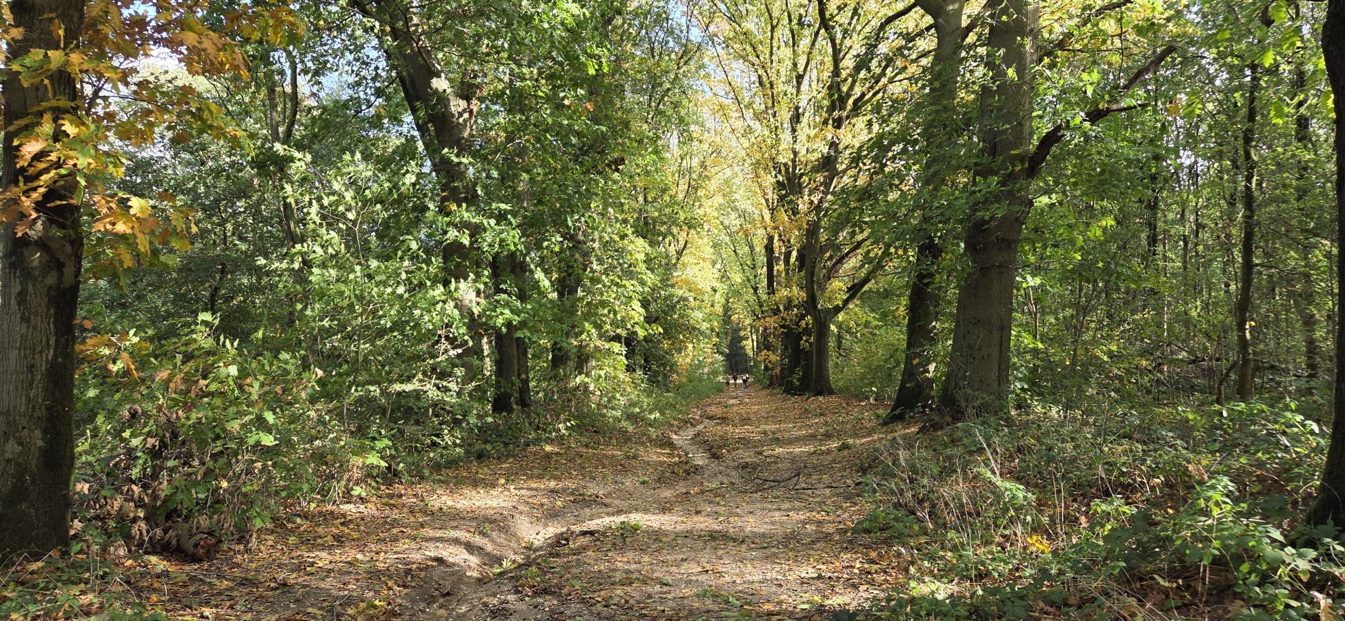 Foto wandeling