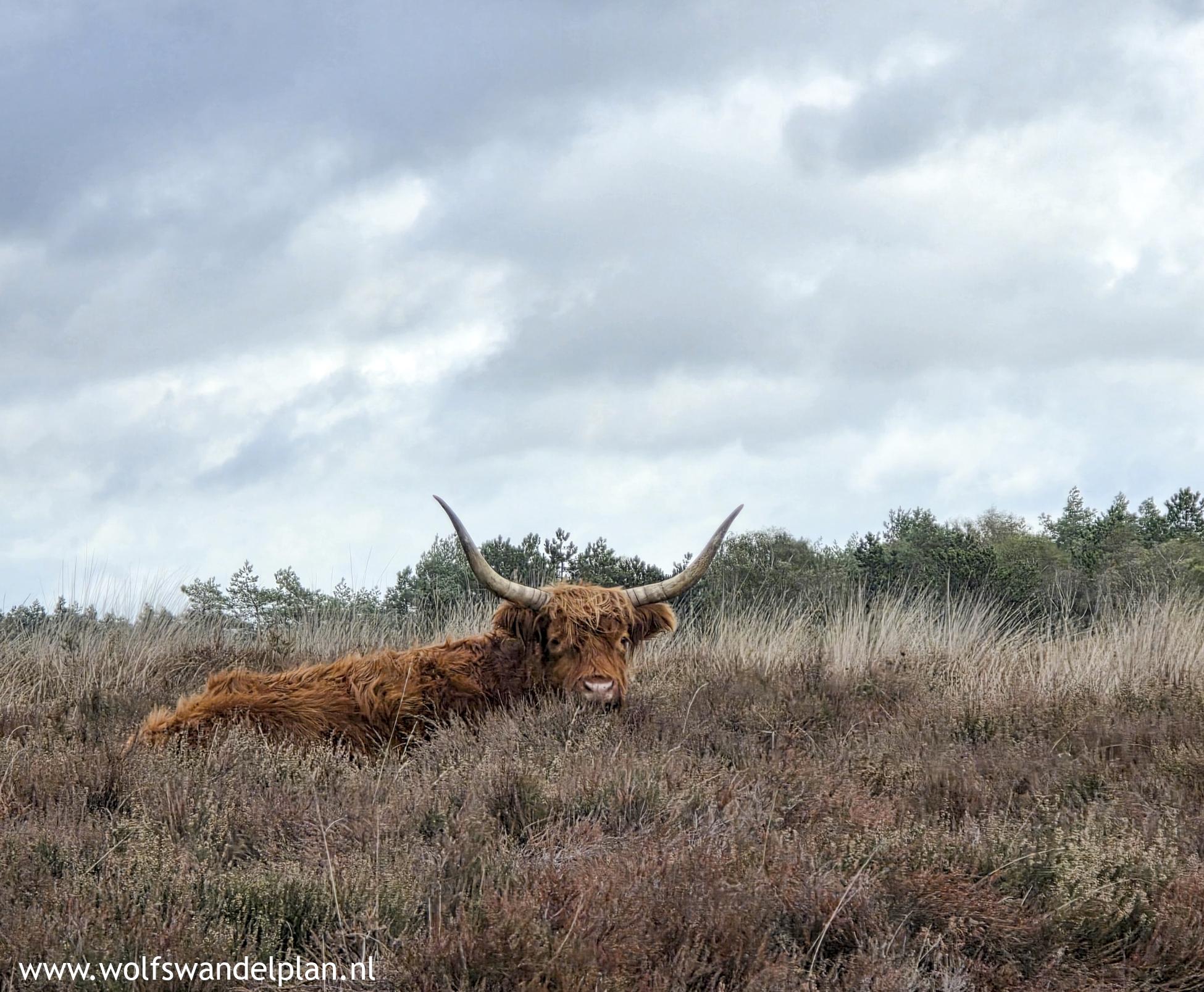 Foto wandeling