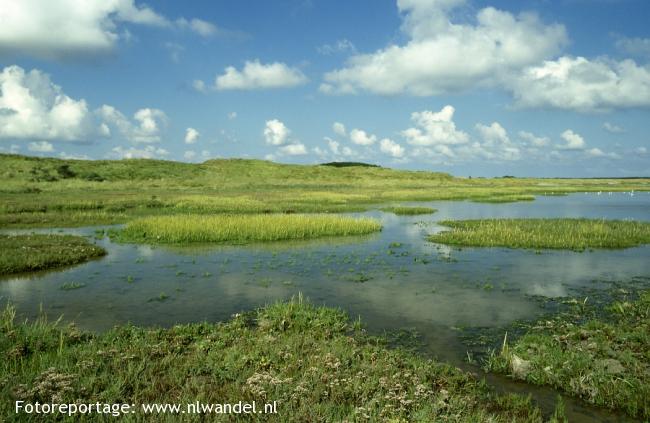 Groene Wissel Vlieland: Posthuys