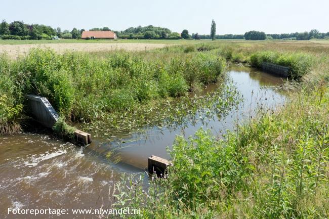 Groene Wissel Wedde