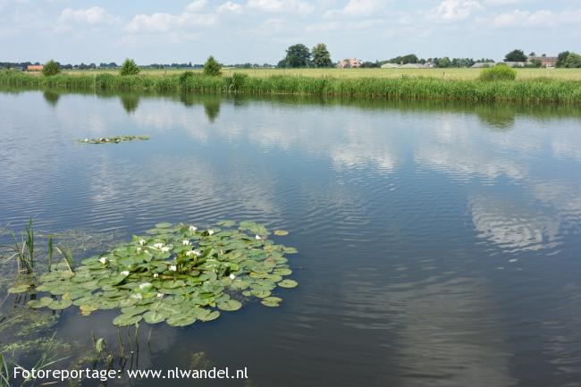 Groene Wissel Den Ham OV