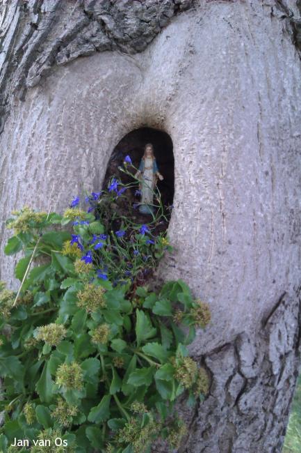 Een leuk kapelletje in een boom op de mooie laan langs de Maas