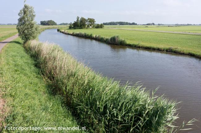 Groene Wissel Ferwert (Ferwerd)