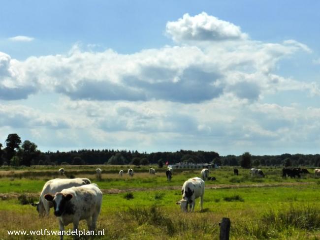 Trage Tocht Ommen Vechtdal