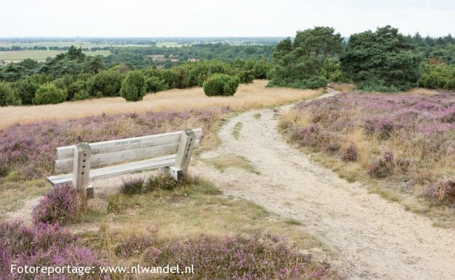 Op en rond de Lemelerberg