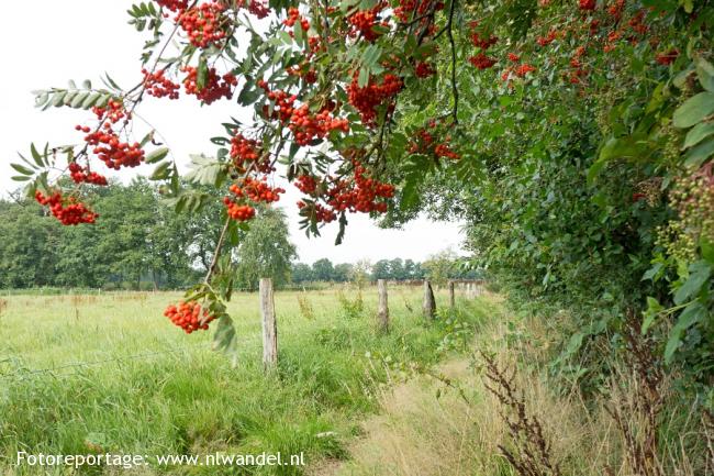 Groene Wissel Enschede Kennispark