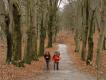 NS-wandeling Vechtdal