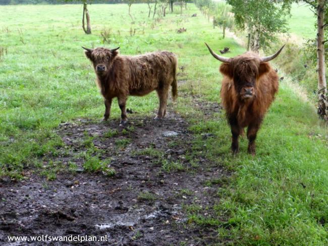 Trage Tocht Vledderveld