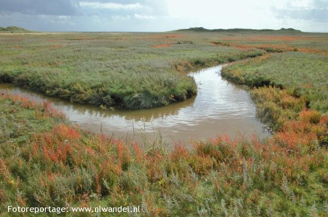 Groene Wissel Schiermonnikoog 2